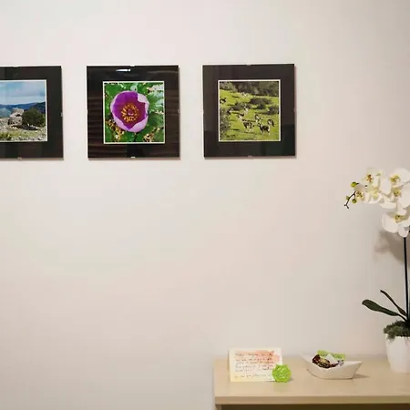 Passiflora Bed & Breakfast